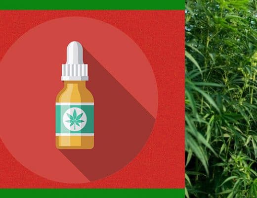 CBD Guide to Buying It In The US 2021