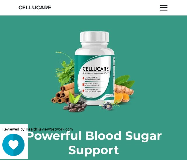 Renew Dental Support Weight Loss Review - Screenshot of website