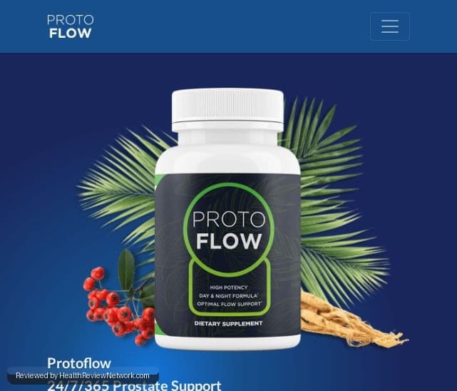 ProtoFlow Review